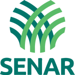 Senar